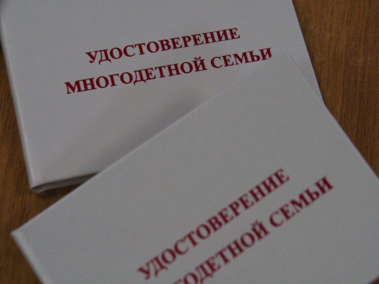 2,5 тысяч пензенских многодетных семей оформили удостоверение