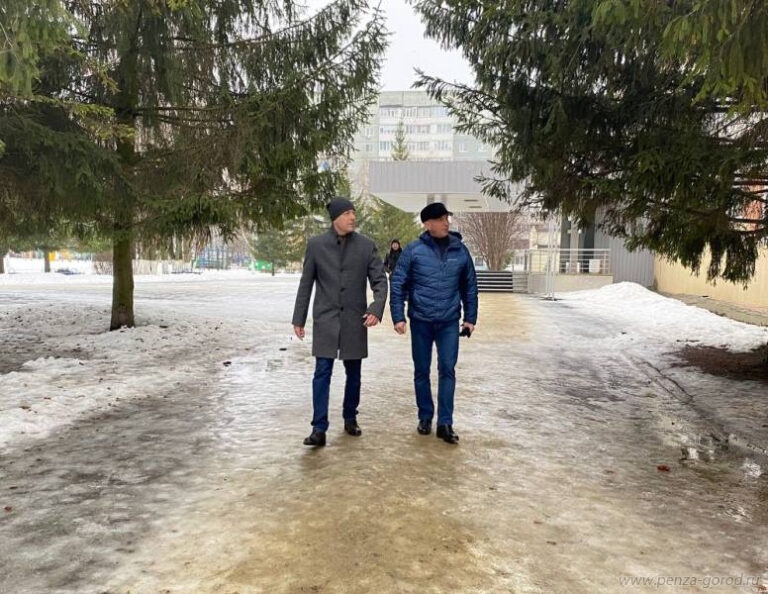 В Пензе проверили качество уборки территорий образовательных учреждений