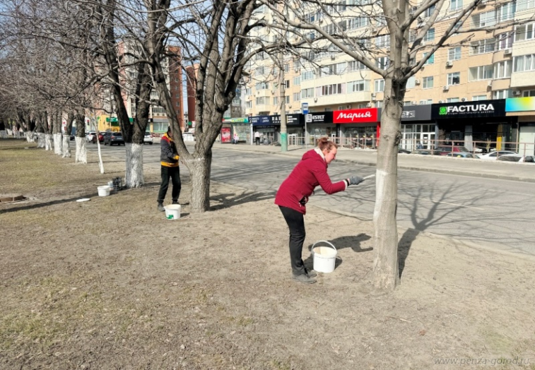 В Ленинском районе Пензы приводят в порядок территорию