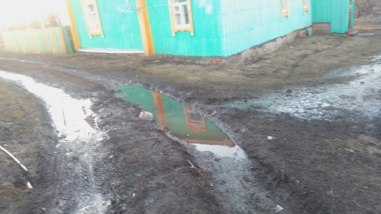 «Мы скоро уплывём»: жители деревни Алексеевка жалуются на затопленные дороги
