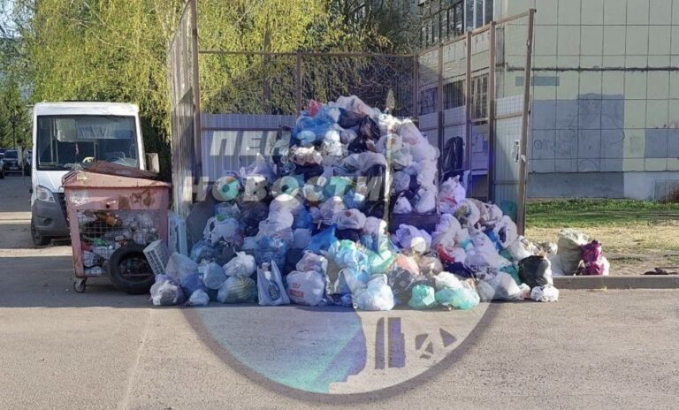 Новости культуры: рядом с библиотекой им. Лермонтова 3 дня не могут вывезти гору мусора