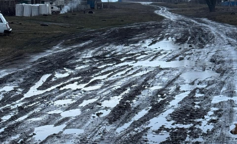 Жители Новонадеждино требуют обустройства твёрдого дорожного покрытия, власти разводят руками
