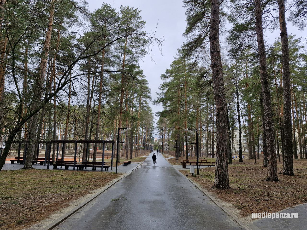 Заречный удерживает лидерство среди городов Пензенской области в рейтинге благоустройства Заречный удерживает лидерство среди городов Пензенской области в рейтинге благоустройства