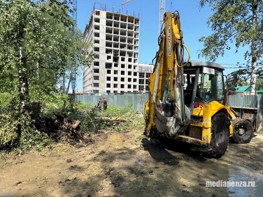 «Пензгорстройзаказчик» вырубит более 130 деревьев на улице Ново-Казанской ради размещения проездов к ЖК «Династия» «Пензгорстройзаказчик» вырубит более 130 деревьев на улице Ново-Казанской ради размещения проездов к ЖК «Династия»