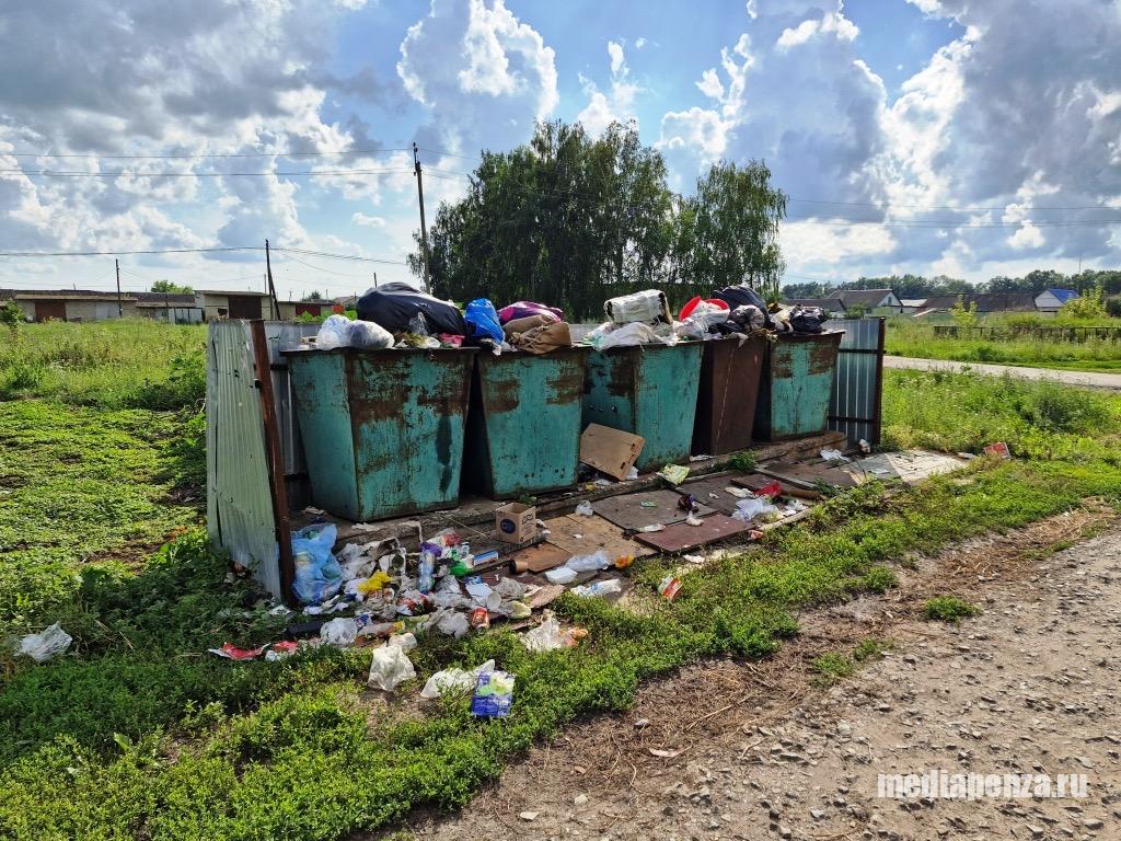 В рамках стимулирования рождаемости жителей Земетчинского района травят вонью с помойки В рамках стимулирования рождаемости жителей Земетчинского района травят вонью с помойки