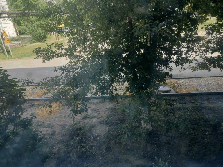 «Окна не открыть ни днём, ни ночью»: в Сердобске пожаловались на запах от канализации