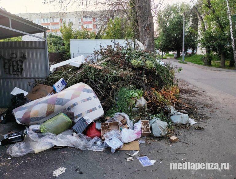 На улице Карпинского две недели не вывозят мусор с контейнерной площадки