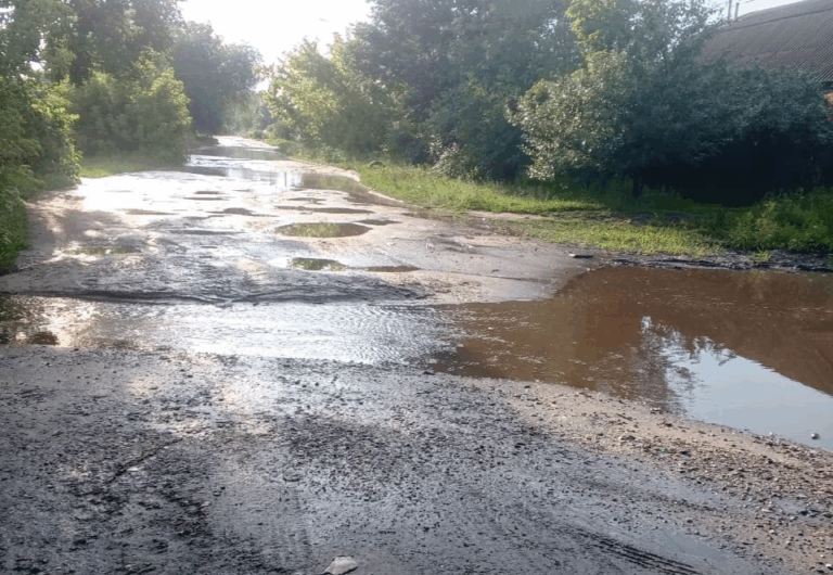 «Ни пройти, ни проехать»: в Сердобске жители жалуются на болото