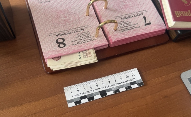 Следком подтвердил задержание Веры Фейгиной. Новые подробности о деле начальника Управления культуры Пензы