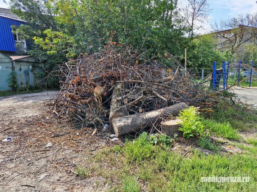 На Южной Поляне длительное время не могут вывезти спиленные и заражённые ясени На Южной Поляне длительное время не могут вывезти спиленные и заражённые ясени