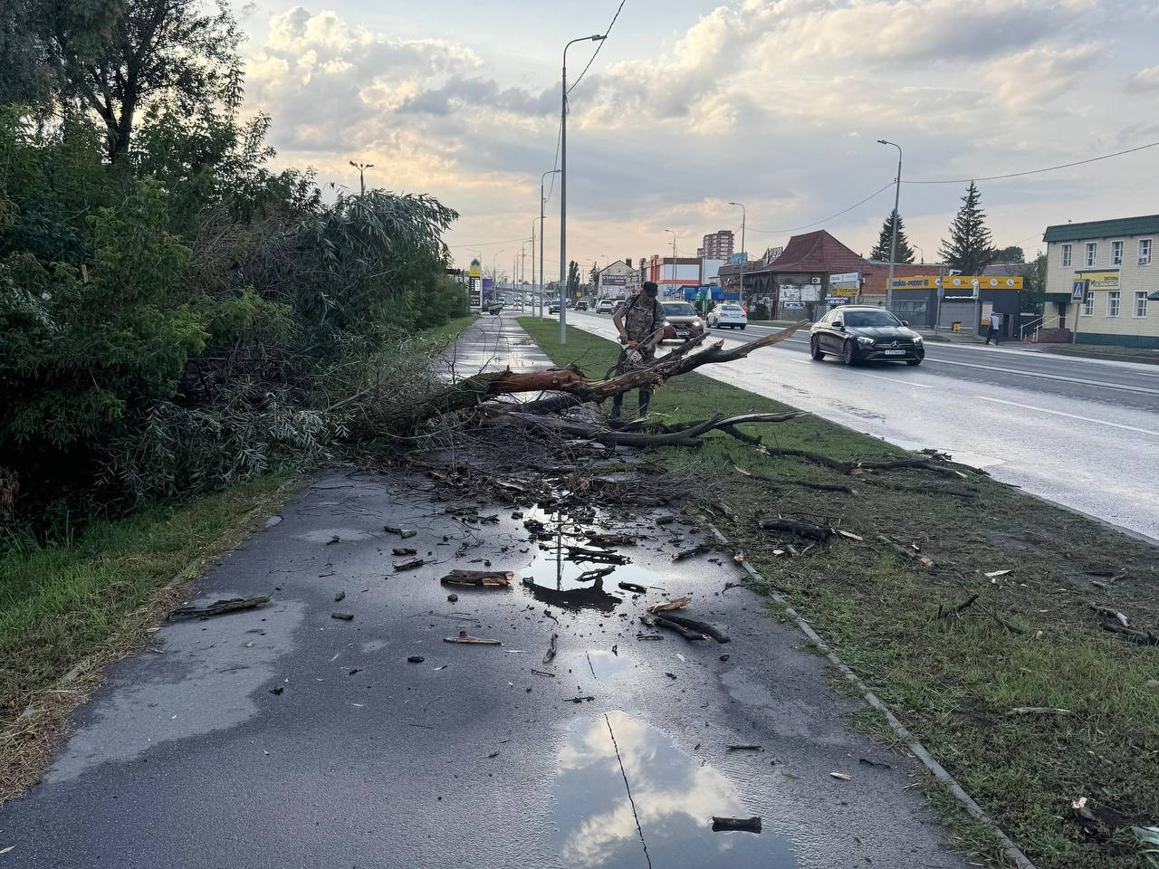 В Пензе из-за последствий непогоды потребовалось экстренное вмешательство коммунальщиков В Пензе из-за последствий непогоды потребовалось экстренное вмешательство коммунальщиков