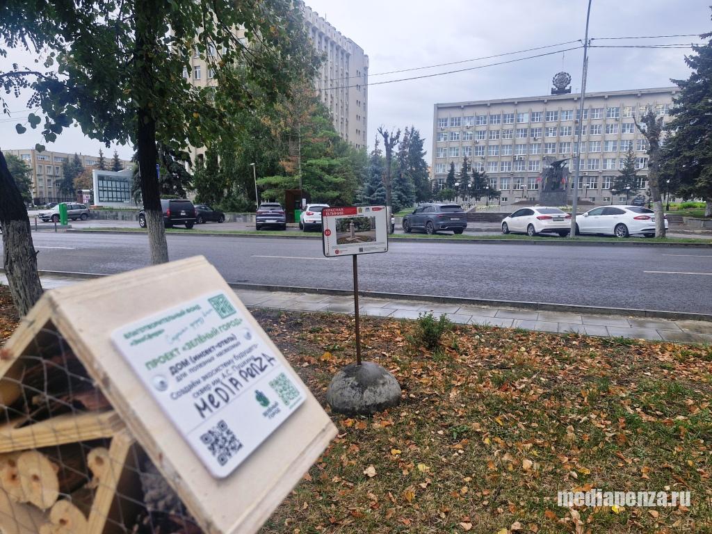 В Пензе начали вакцинировать заражённые ясени