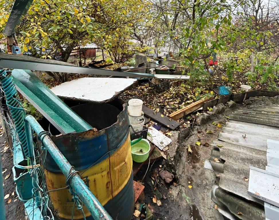 В Лунино жители пожаловались на «плодовые джунгли» под окнами