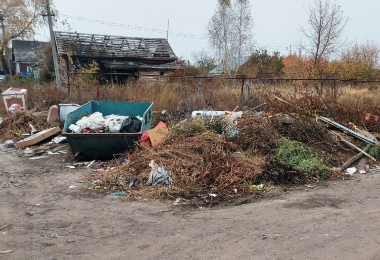 Мусор в Сердобске: круговорот ответственности в природе