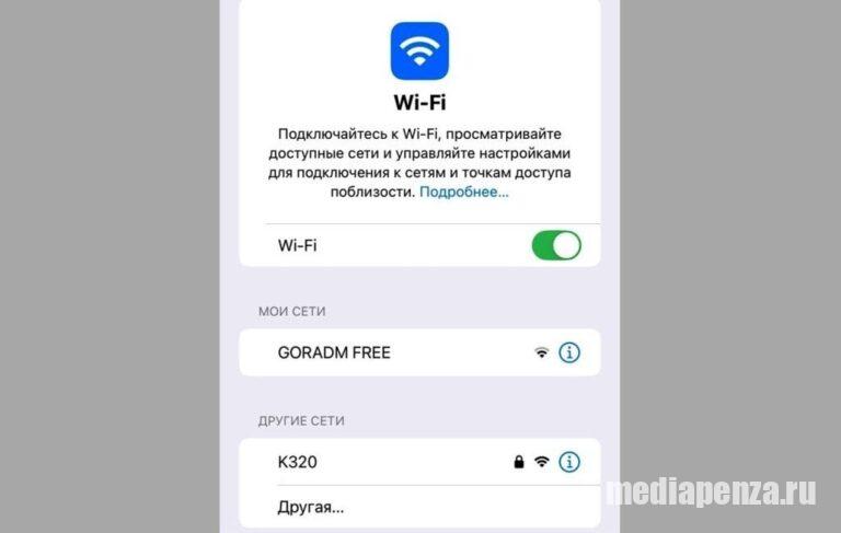 Корреспондент МедиаПензы не смог подключиться к общедоступному Wi-Fi в  администрации города