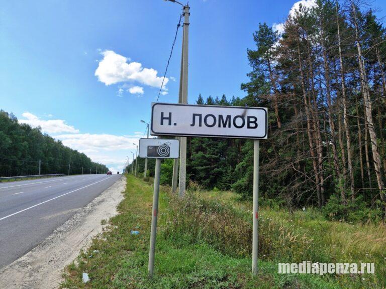 Жительница Нижнего Ломова попросила Президента отправить в отставку главу района