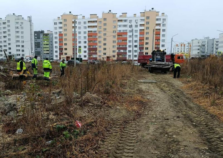 В микрорайоне Заря в Пензе провели работы по благоустройству