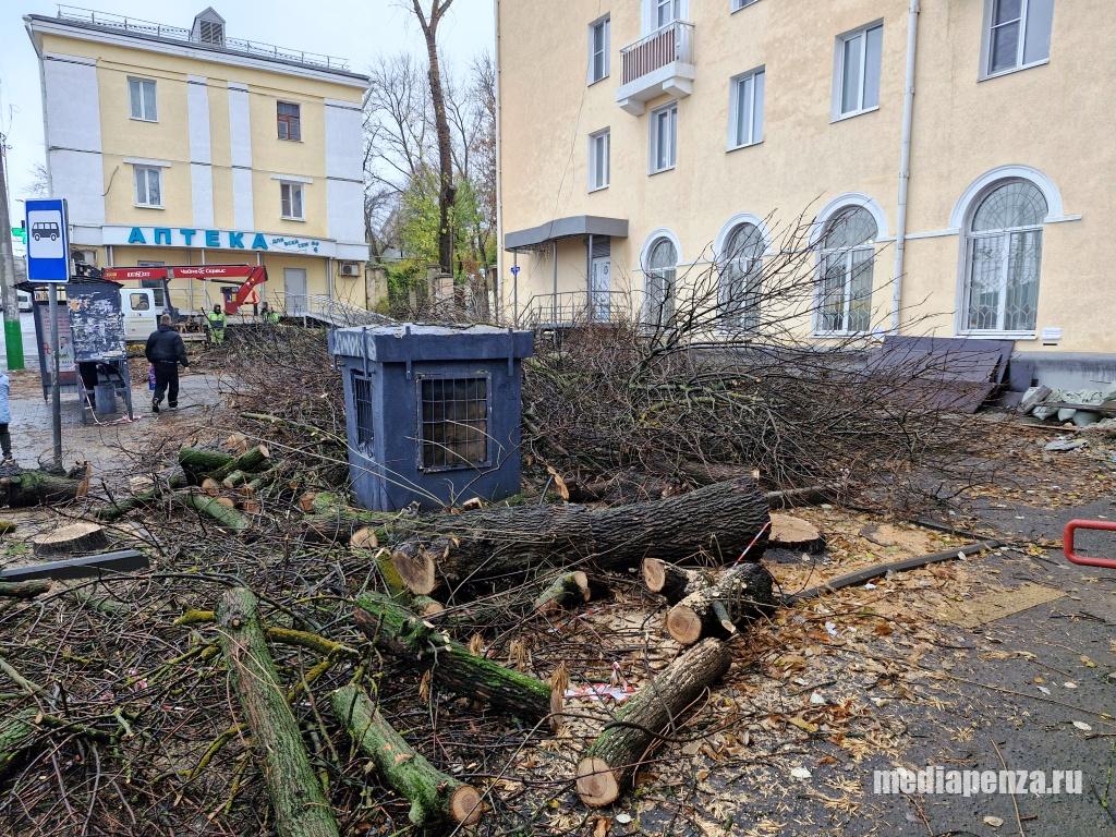 В Пензе за остановкой «Детская библиотека» спилили ясени