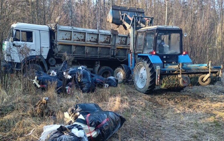 В Ахунах ликвидировали несанкционированную свалку в лесу