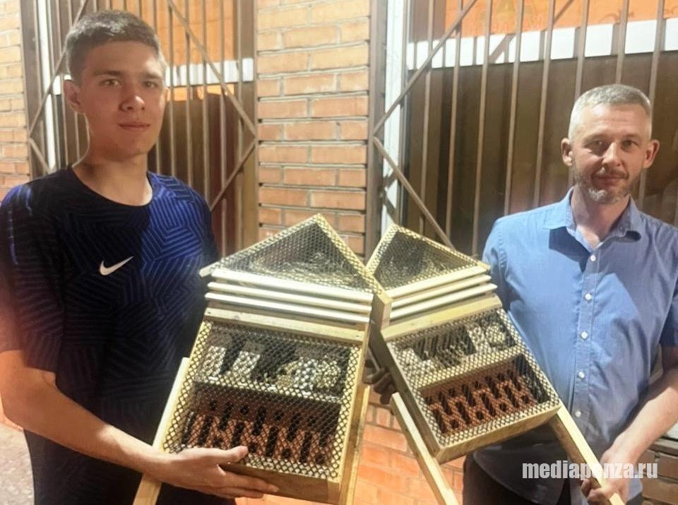 Пензенский депутат предложил использовать опыт Заречного в изготовлении «инсект-отелей» для насекомых Пензенский депутат предложил использовать опыт Заречного в изготовлении «инсект-отелей» для насекомых