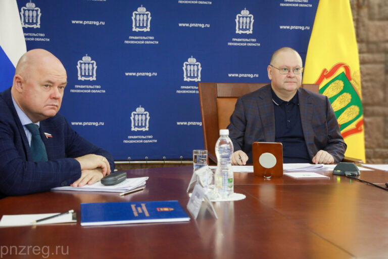 Глава Пензенской области поручил уделить особое внимание исполнению нацпроектов