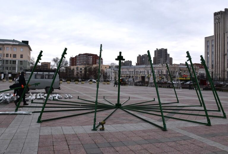Новую новогоднюю ёлку на площади Ленина в Пензе установят до 1 декабря