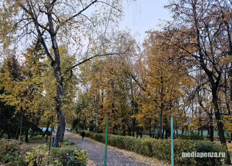 В Пензе стартовало предварительное голосование за зоны отдыха для благоустройства
