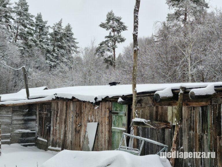 В Засурье у жителей общежития и участников СВО отбирают гаражи и сараи
