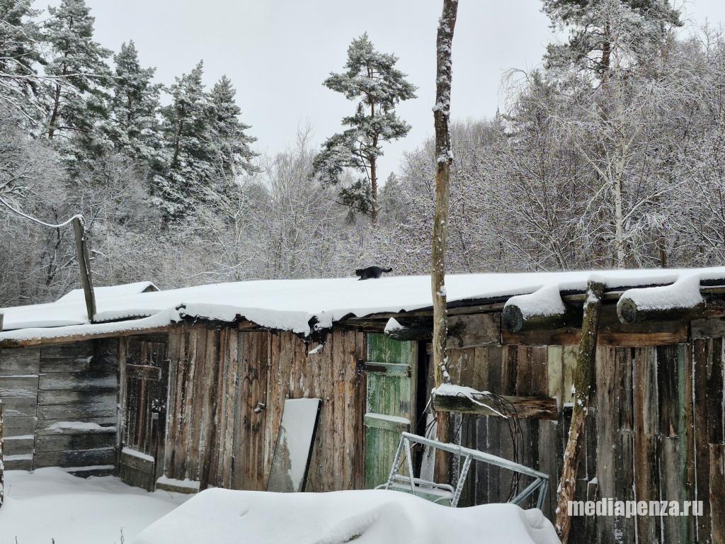 В Засурье у жителей общежития и участников СВО отбирают гаражи и сараи В Засурье у жителей общежития и участников СВО отбирают гаражи и сараи