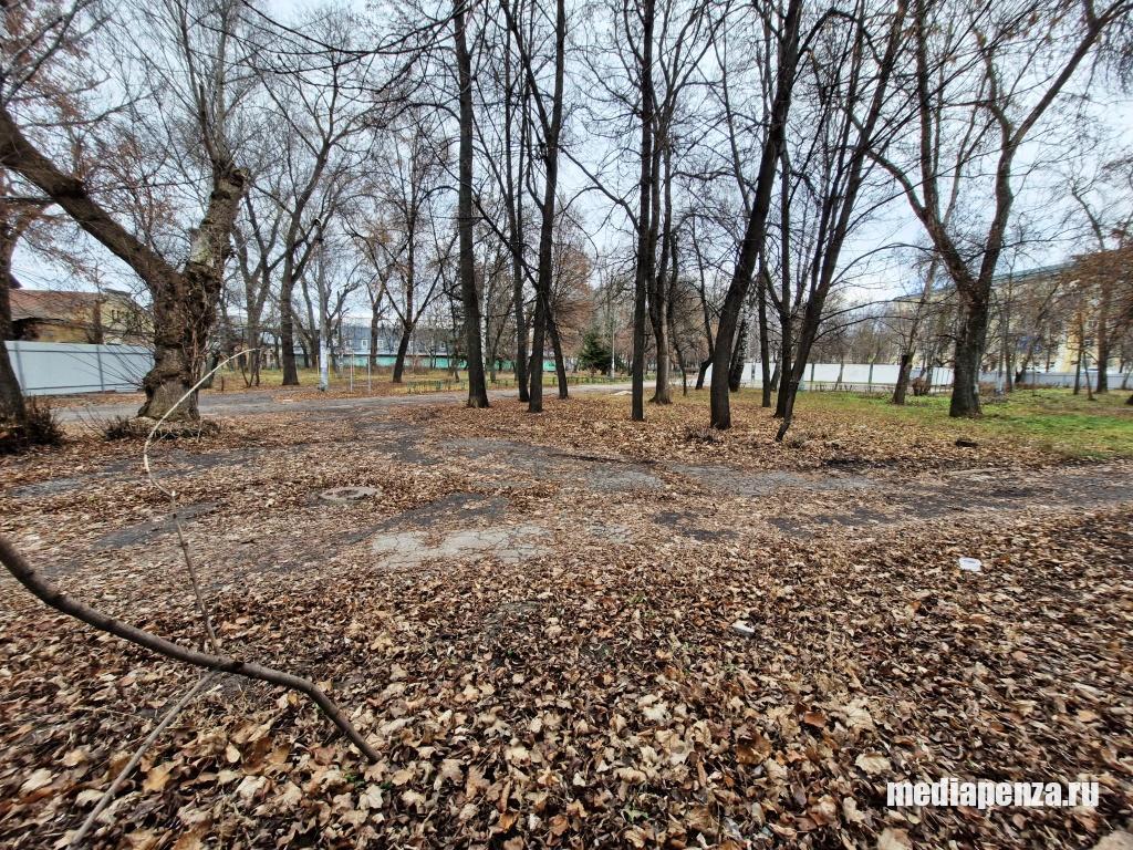 Стало известно, что ждёт сквер Дзержинского после вырубки заражённых ясеней Стало известно, что ждёт сквер Дзержинского после вырубки заражённых ясеней