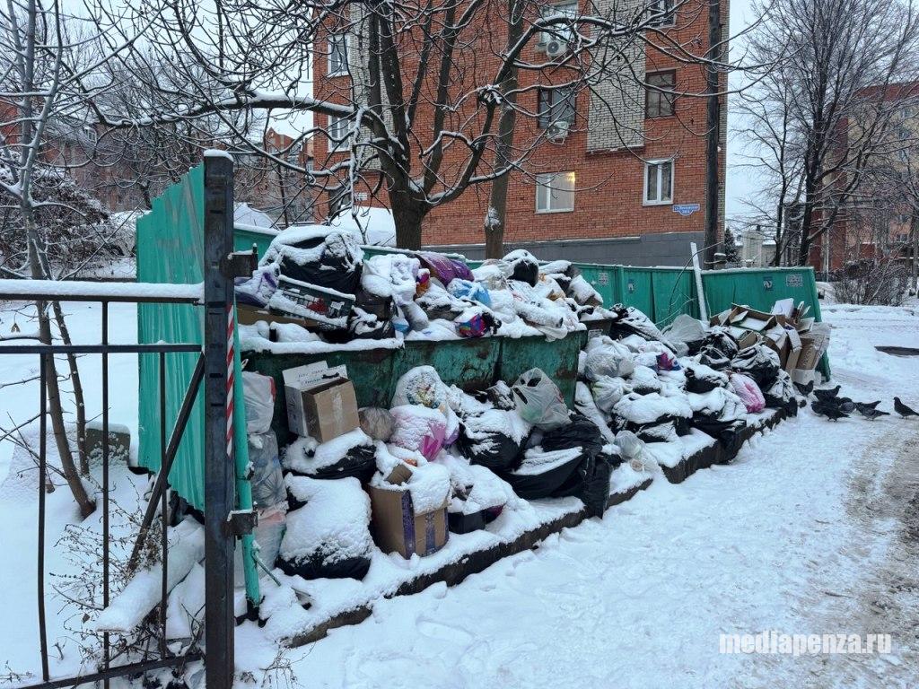 В округе председателя гордумы Дениса Соболева людям некуда складировать мусор В округе председателя гордумы Дениса Соболева людям некуда складировать мусор