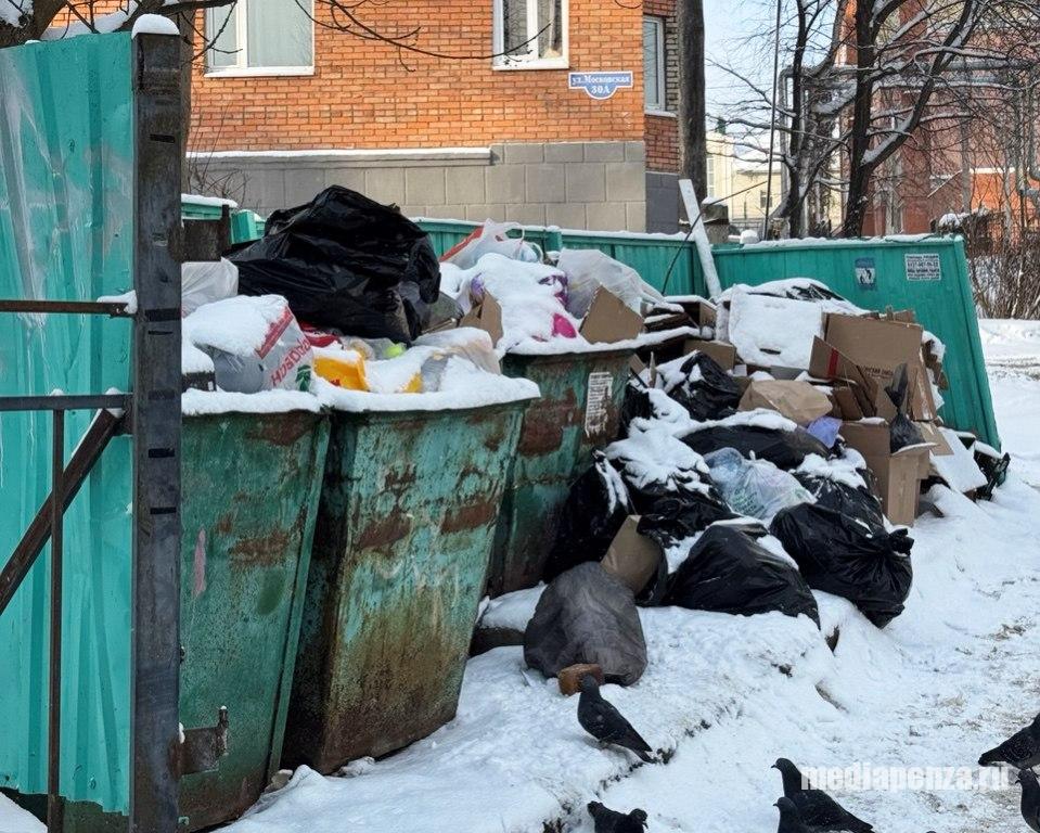 Жители улицы Московской встречают Новый год с переполненными мусорными контейнерами Жители улицы Московской встречают Новый год с переполненными мусорными контейнерами