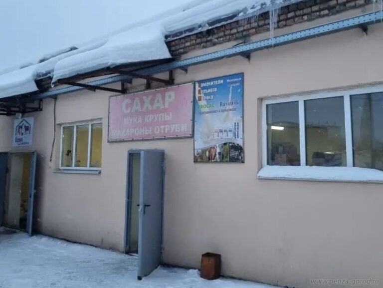 В Пензе вновь выявили нарушения зимнего содержания территорий коммерческих объектов