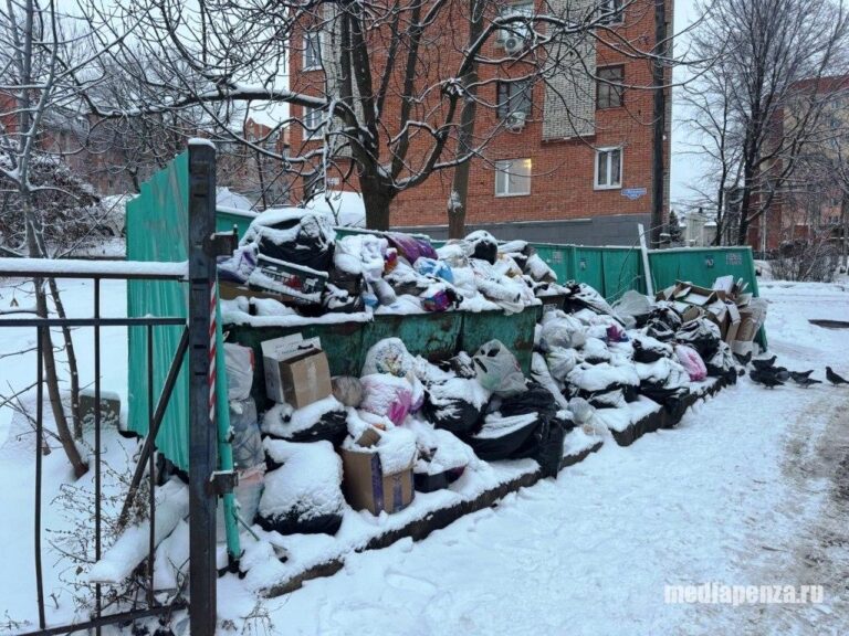 В новогодние праздники в Пензе произошёл мусорный коллапс
