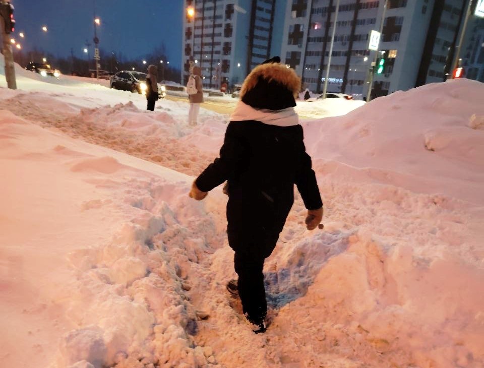 Пензенцы массово жалуются на неочищенные от снега подходы к школам и детским садам