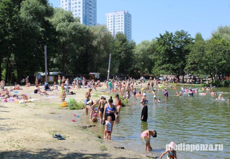 «На бюджетных харчах». История успеха зампреда Пензенской гордумы Алексея Петрова