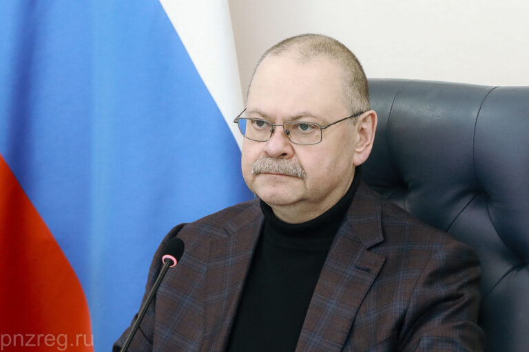 Почти 300 пензенских семей воспользовались помощью «социальных нянь» за год