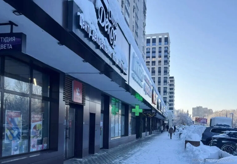 Более 20 предписаний выписали в Пензе за неудовлетворительное состояние территорий торговых объектов