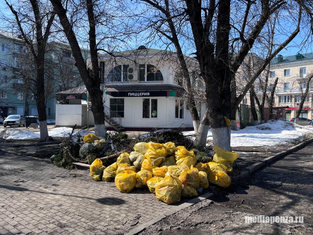 Месячник по благоустройству. На улице Московской некуда выкинуть мусор