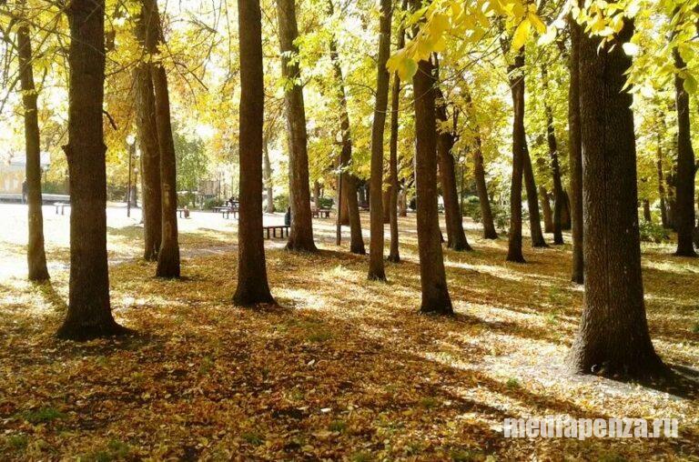 Парк «Комсомольский» предложили присоединить к парку им. В.Г. Белинского