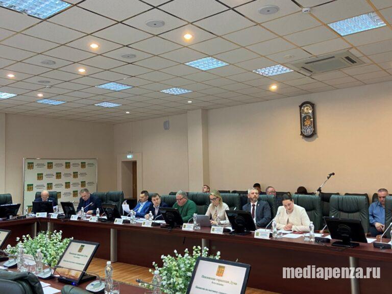 Депутат Елена Падалкина попросила главу Пензы отчитаться о работе муниципальных компаний
