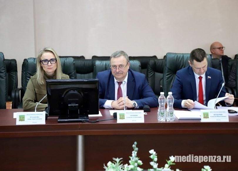 Депутат гордумы Анна Рудакова: «В этом году в Пензе вырубят ещё больше деревьев»