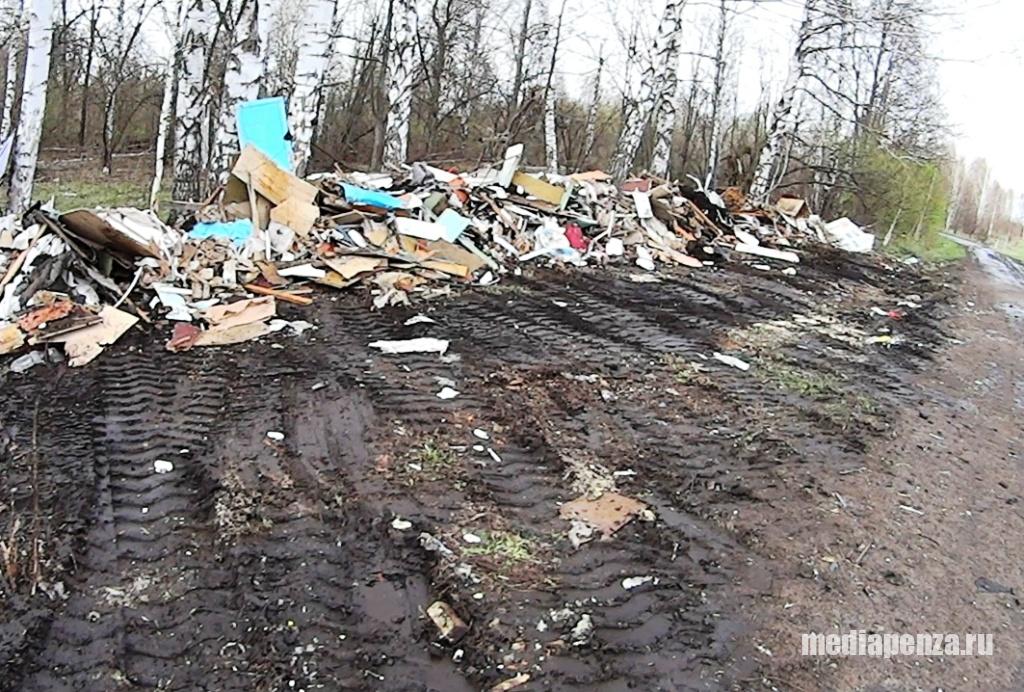 Тонны строительного мусора после ремонта школы в Нижнеломовском районе выкинули в поле Тонны строительного мусора после ремонта школы в Нижнеломовском районе выкинули в поле