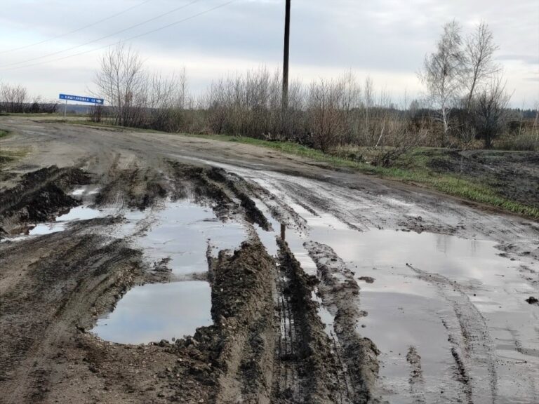 Житель Белинского района вступил в перепалку с администрацией из-за состояния дороги