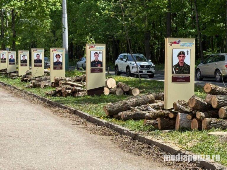 На улице Попова вырубили десятки деревьев и положили обрубки к портретам героев СВО