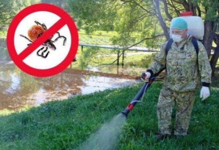Олимпийскую аллею в Пензе временно закроют для обработки от клещей
