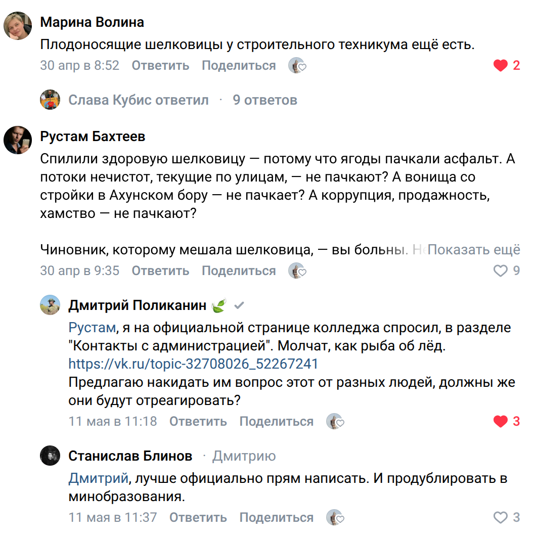 В Пензе экстренно уничтожают остатки спиленной шелковицы