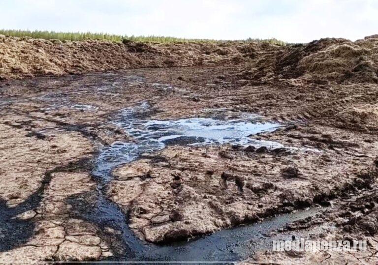 «Русская молочная компания» продолжает убивать экологию в Нижнеломовском районе, отравляя гектары земли коровьим навозом