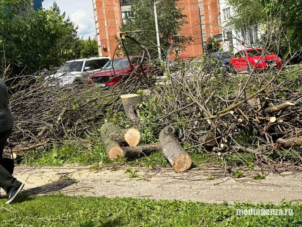 На улицах Калинина и Кривозерье начали вырубать деревья