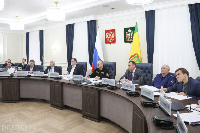 Губернатор Пензенской области поручил держать на особом контроле строительство спортобъектов в микрорайонах Шуист и Заря